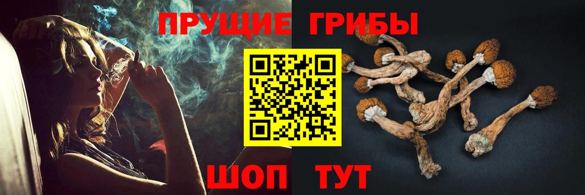 Галлюциногенные грибы Psilocybe  сколько стоит  Комсомольск-на-Амуре  Вход с VPN 